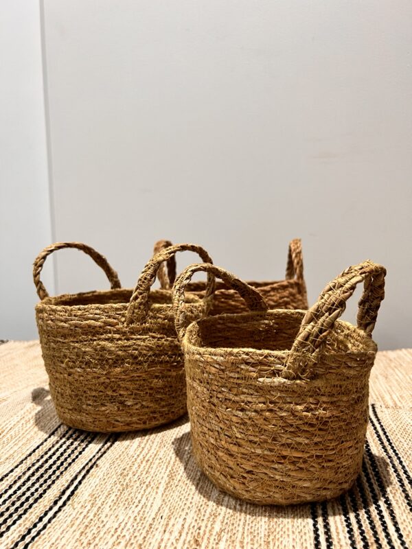 Seagrass Basket Nests